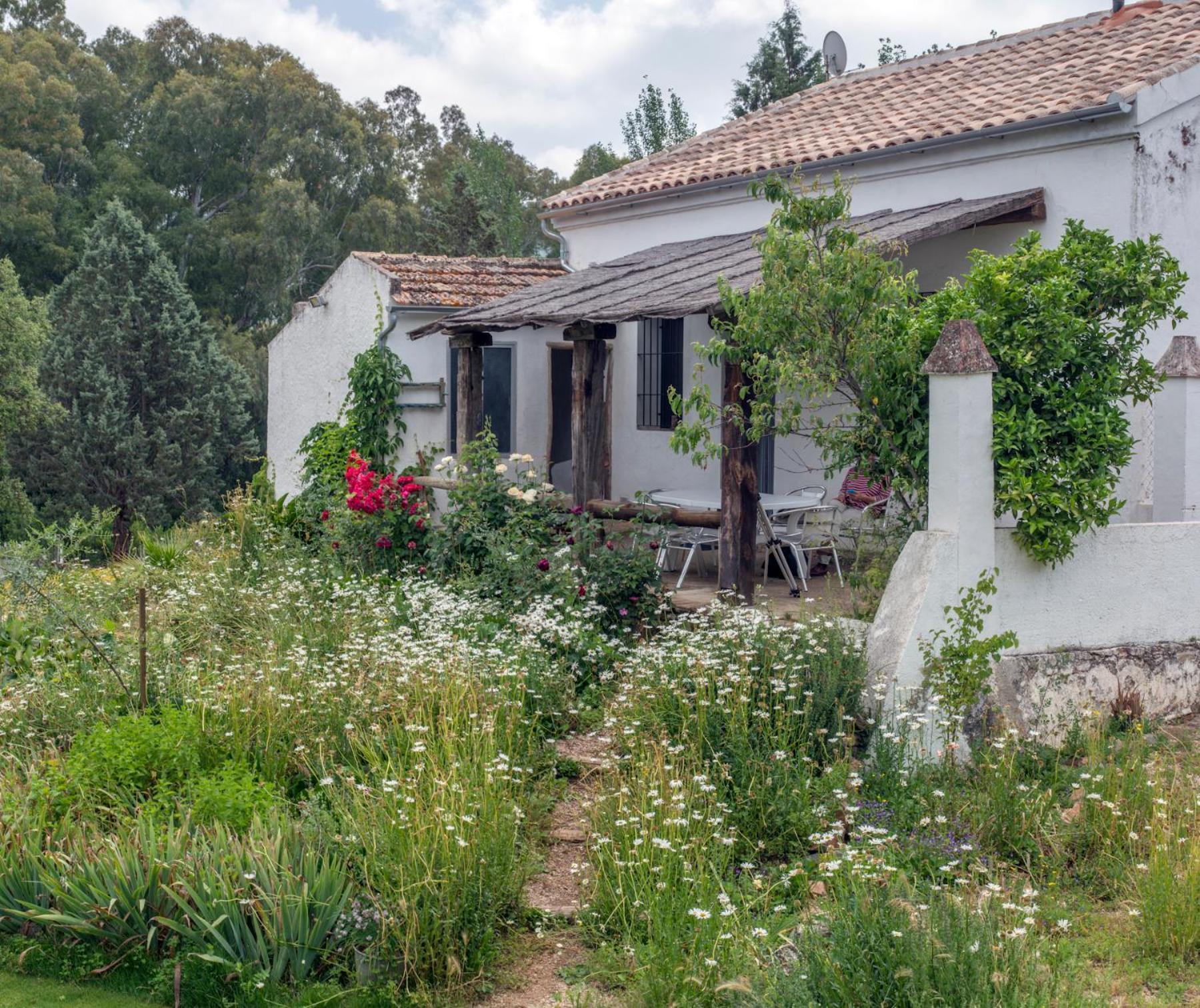 Гостевой дом La Umbria De La Ribera Эль-Педросо Экстерьер фото